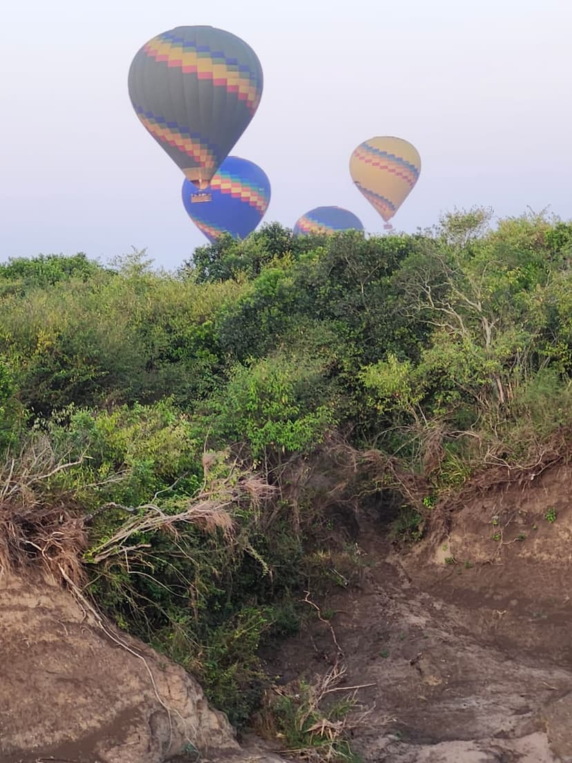 Tailor-Made Safaris