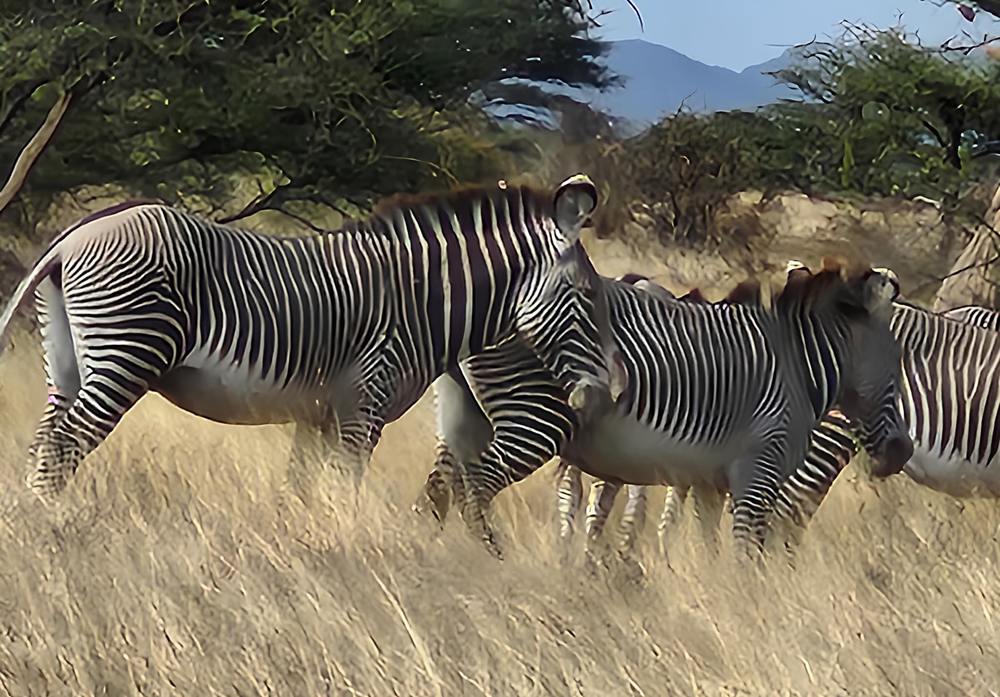 The Northern Circuit & Mara – 7 Days / 6 Nights