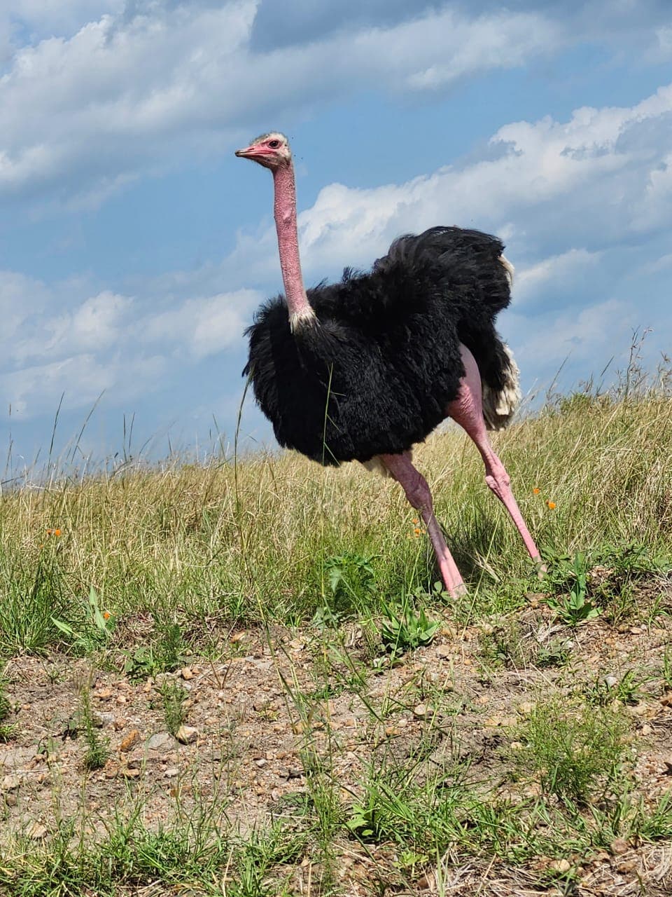 The Savannah Sojourn – 7 Days / 6 Nights