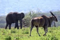 Cultural Safaris