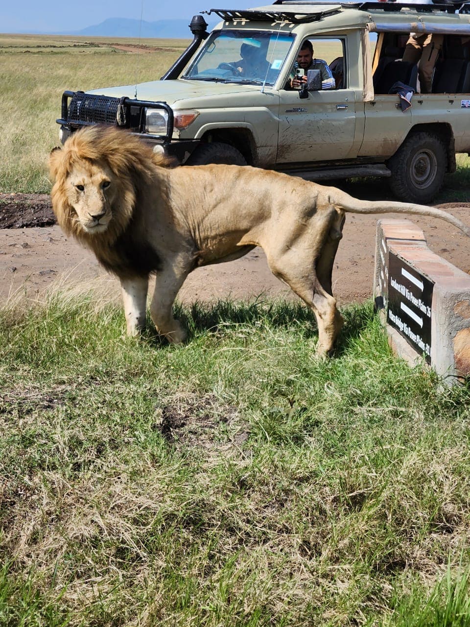 The Mara Majesty – 8 Days / 7 Nights