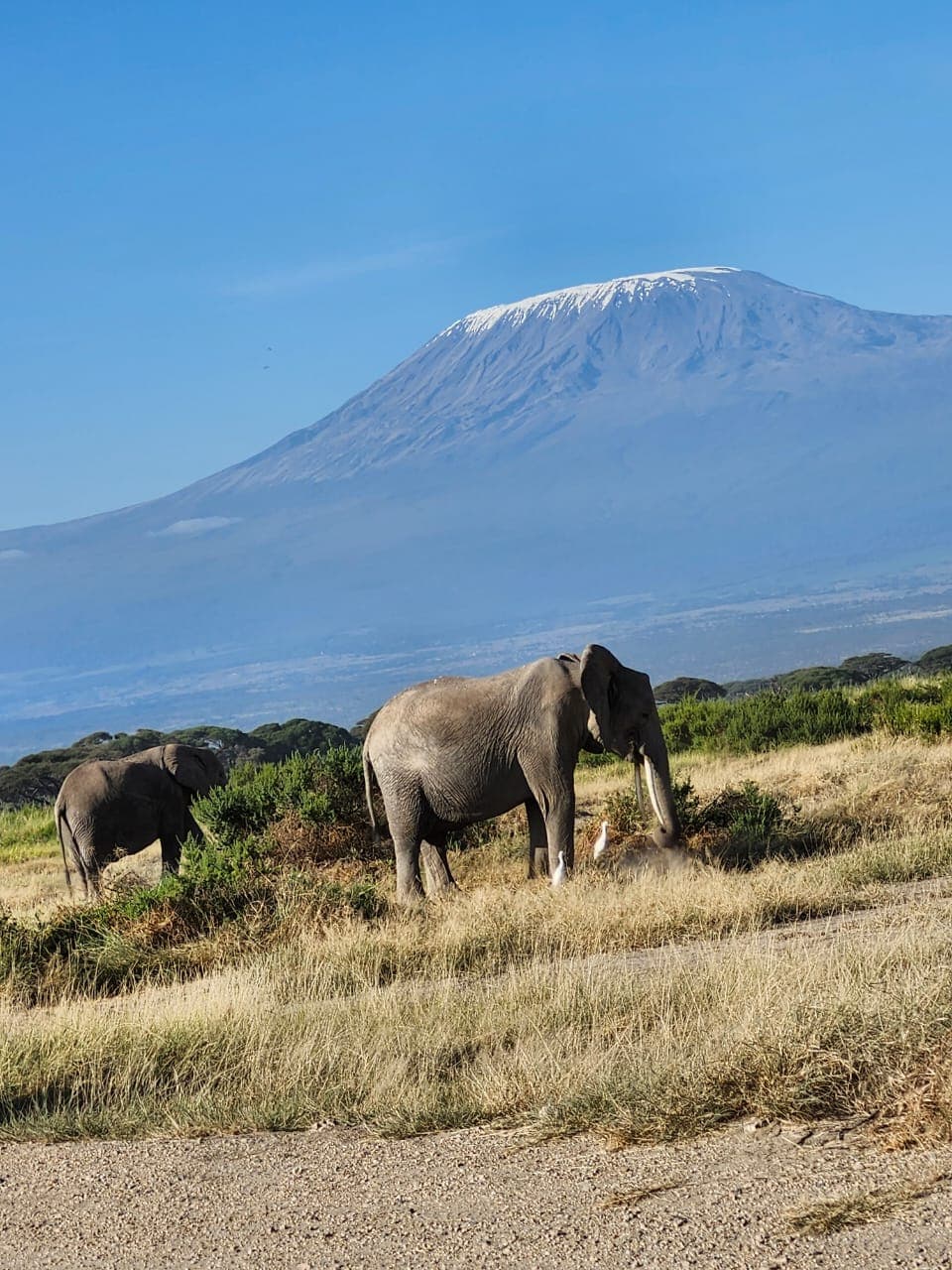 The Kilimanjaro Trails – 6 Days / 5 Nights