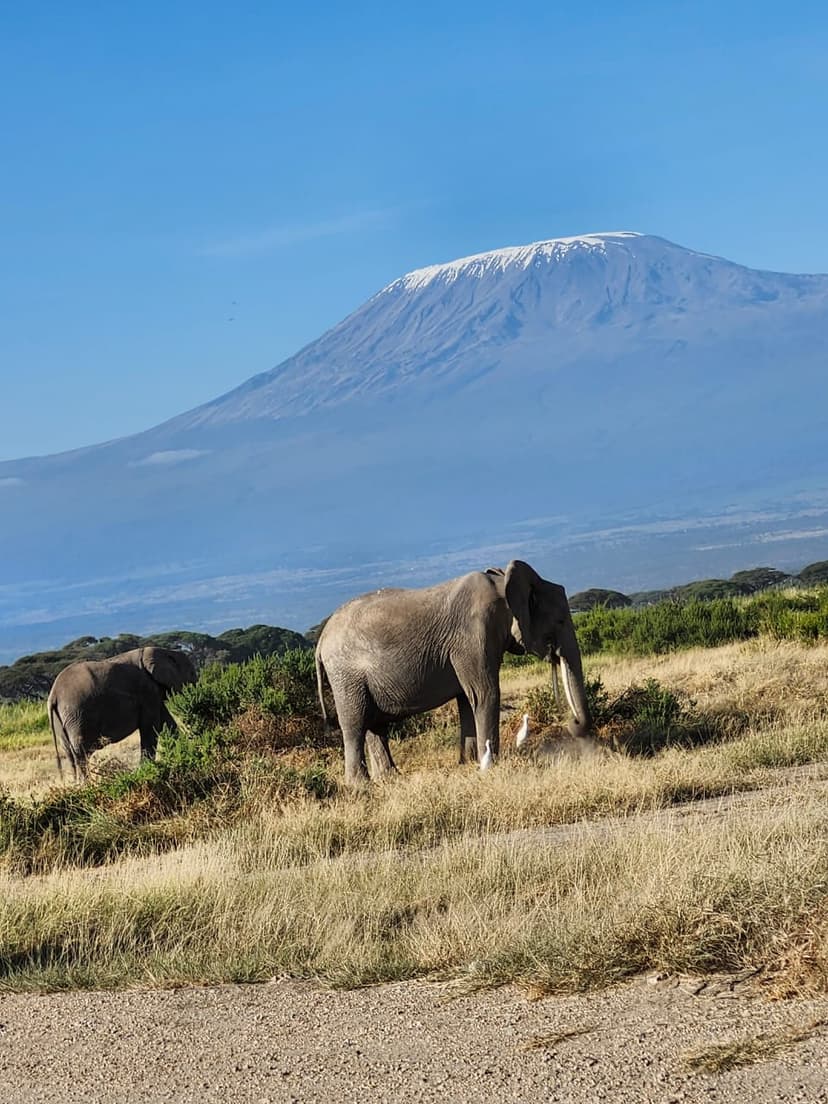 The Kilimanjaro Trails – 6 Days / 5 Nights