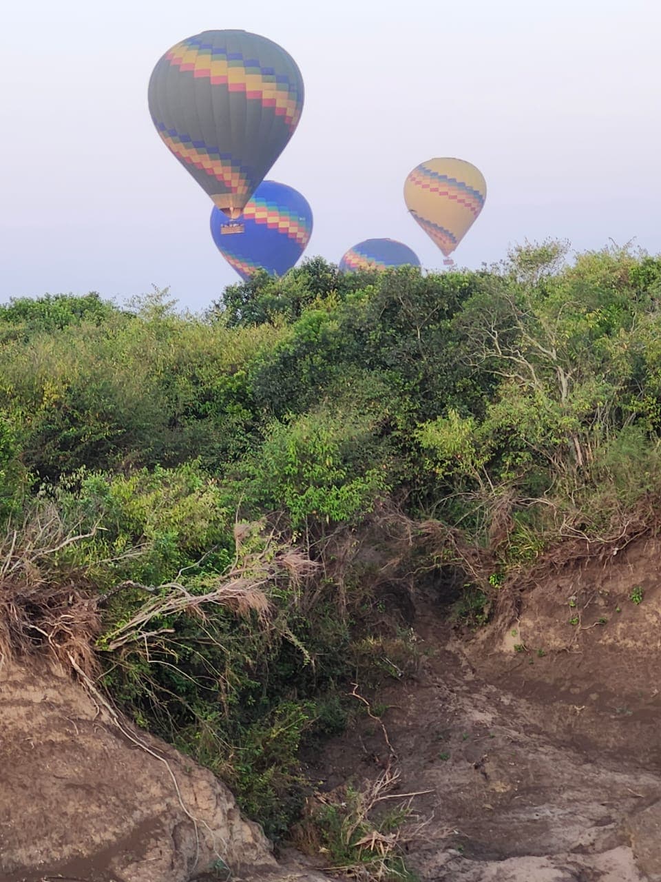 Tailor-Made Safaris