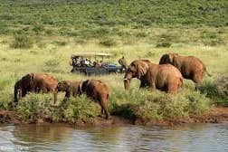Serengeti