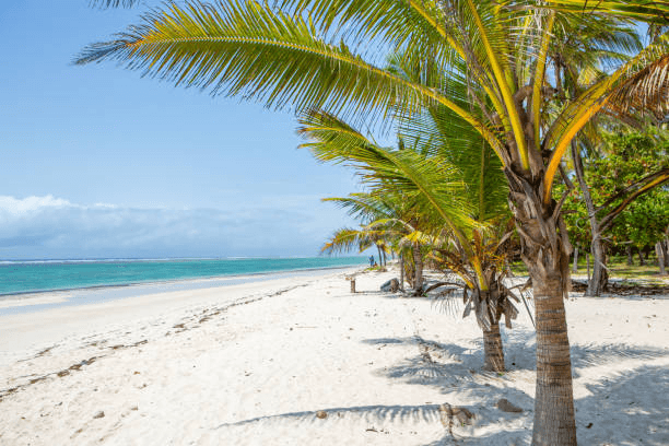 Safari & Beach Holidays